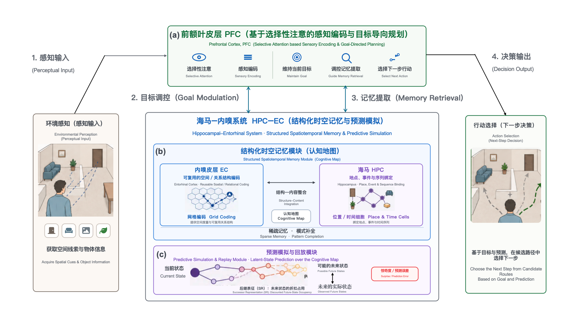 图1. 人脑认知地图机制概览